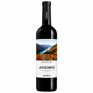 Assobio Douro 2023